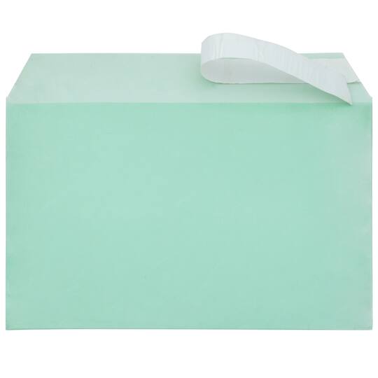 JAM Paper 5.43" X 8.62" Self Adhesive Closure Cello Sleeves